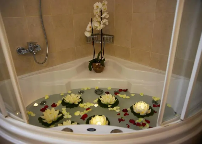 Mary's Dreams فيلة