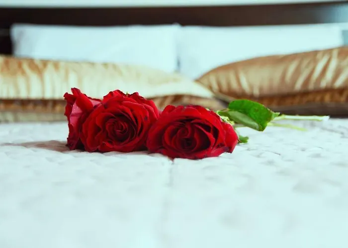 Mary's Dreams فيلة سيمي